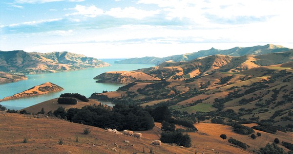 Akaroa Basin